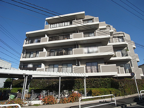 現地外観写真 外観