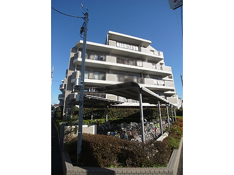 現地外観写真 外観