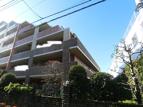 現地外観写真 外観4