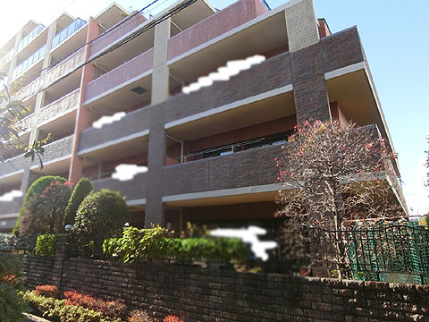 現地外観写真 外観5