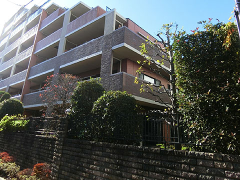 現地外観写真 外観6