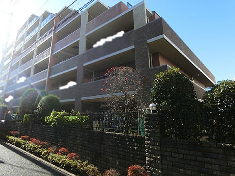 現地外観写真 外観7