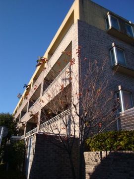 その他共用部 外観5