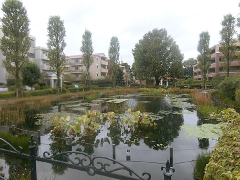 その他共用部　★池