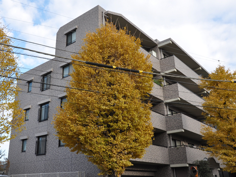 その他共用部　外観4