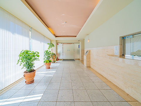 エントランス ライオンズプラザ桜新町