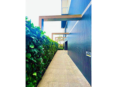 現地外観写真 エントランスアプローチ