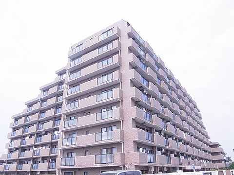 現地外観写真 外観