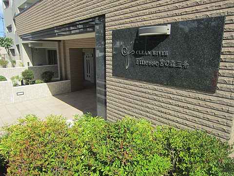 エントランス　共用エントランス