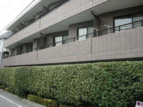 その他共用部　外観3