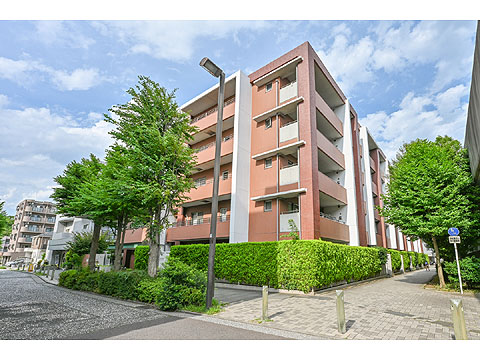 現地外観写真 建物外観