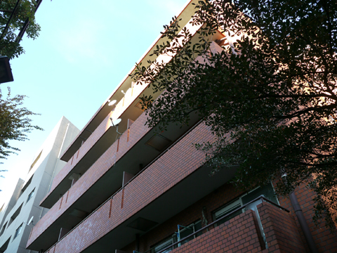 その他共用部 外観6