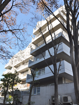 その他共用部　外観5