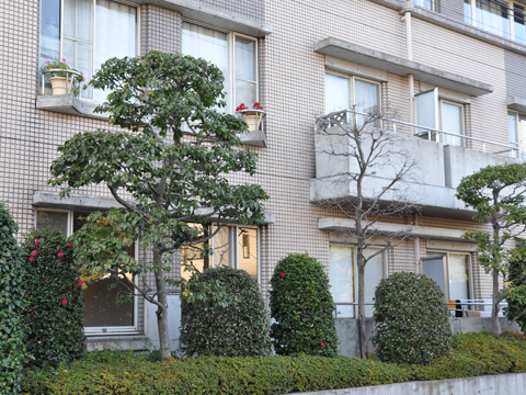 その他共用部　外観5