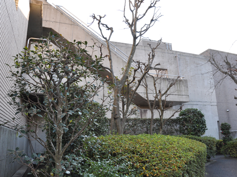 その他共用部　外観6