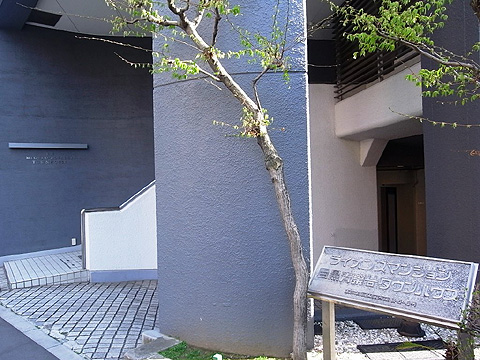 エントランス :正面エントランス