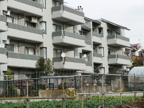 その他共用部　外観3