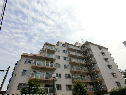 現地外観写真 外観