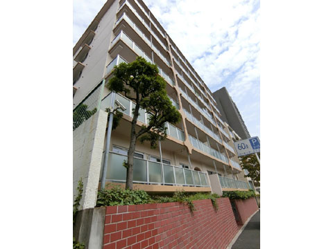 現地外観写真 外観