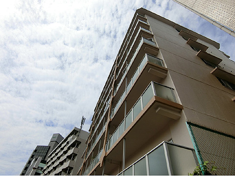 現地外観写真 外観