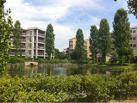 現地土地写真　現地敷地中央