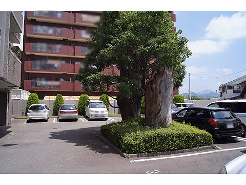 駐車場　敷地内平置き駐車場