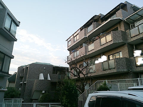 現地外観写真 外観