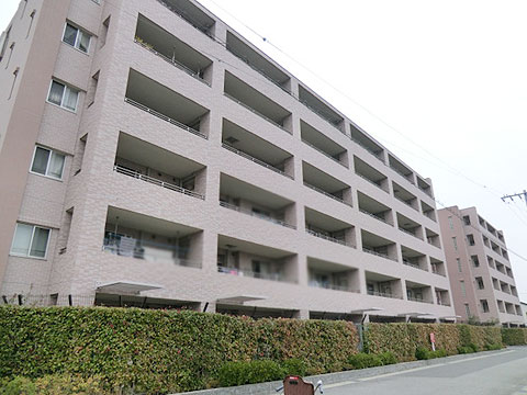 現地外観写真　南側外観