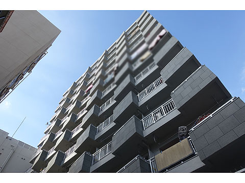 現地外観写真 外観④