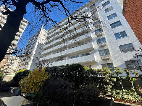 現地外観写真 外観(南西)