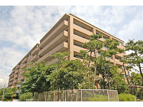 現地外観写真　現地外観写真