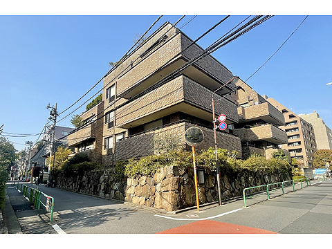 現地外観写真 外観