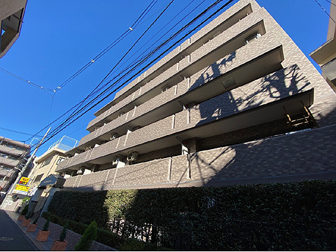 現地外観写真 外観