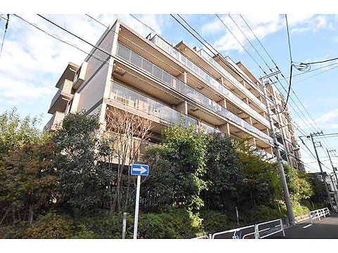 現地外観写真 外観