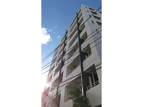 現地外観写真 外観