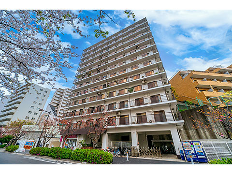 現地外観写真 外観