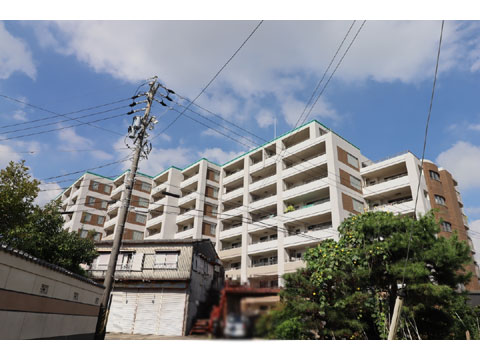 現地外観写真 モザイク①