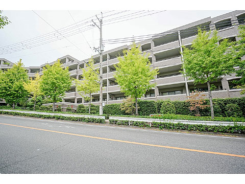 現地外観写真 009