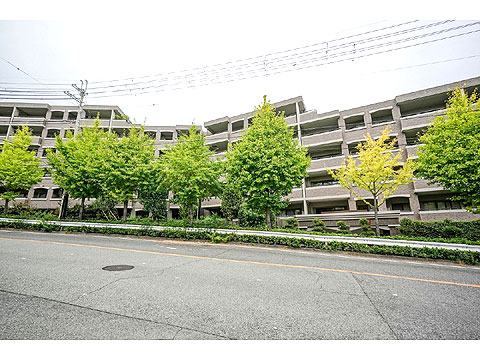 現地外観写真 010