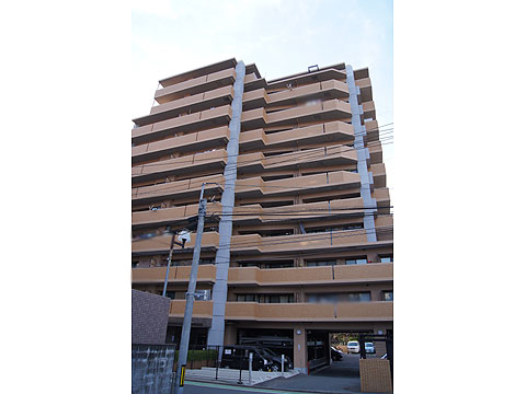 その他共用部 現地外観(南側)