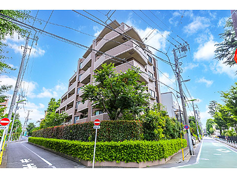 現地外観写真 南西側