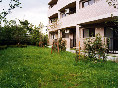 その他共用部 庭