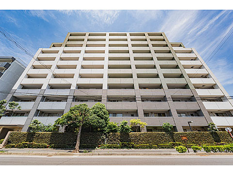 現地外観写真　20250607_0002