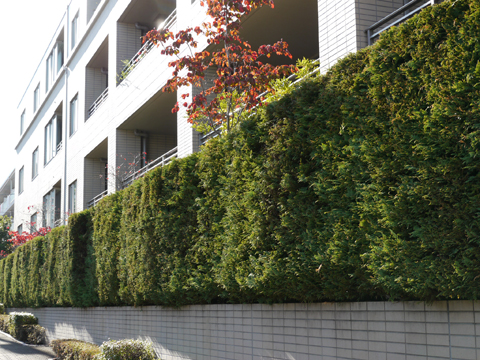 その他共用部 写真2