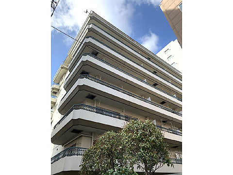 現地外観写真 外観