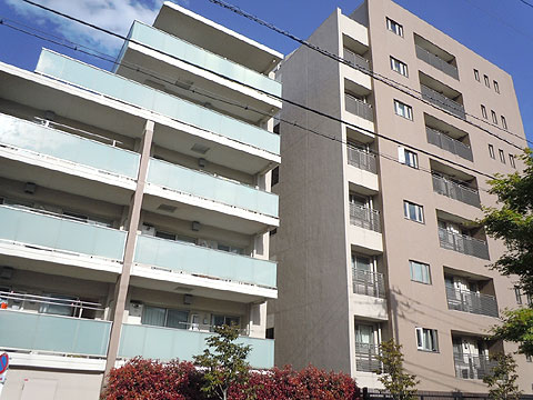 現地外観写真 外観