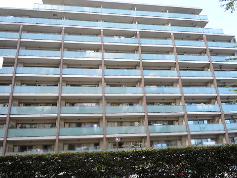 現地外観写真 外観