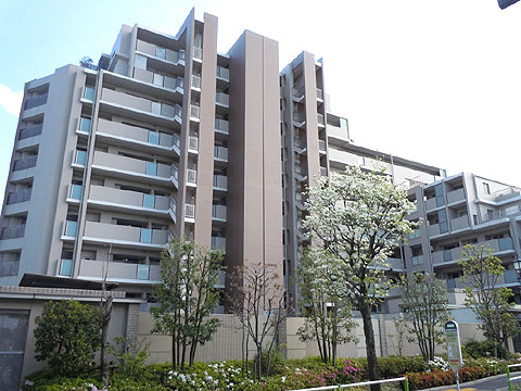 現地外観写真 外観