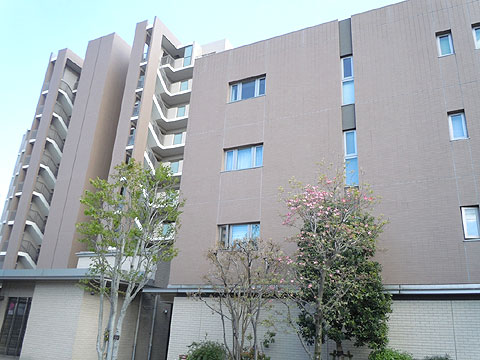 現地外観写真 外観