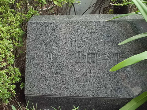 その他共用部　写真1